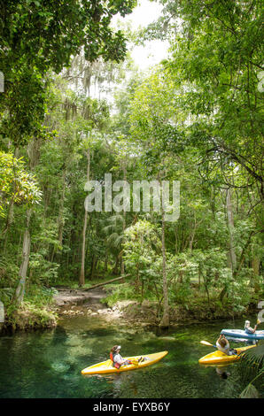 Kajakfahrer Silver Springs State Park. Stockfoto