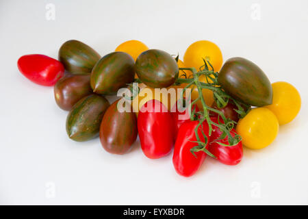 Eine Vielzahl von bunten Tomaten auf weißem Hintergrund Stockfoto