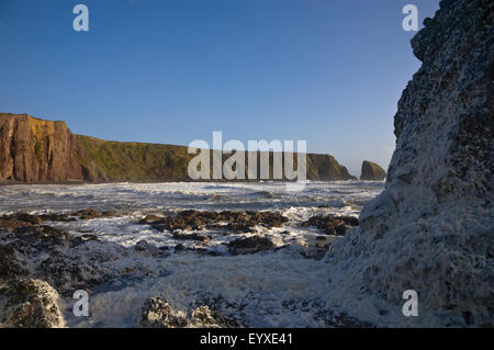 Schaum aus stürmischer See am Ballydowane Bucht, in der Nähe von Bunmahon, Copper Coast Geopark, Grafschaft Waterford, Irland Stockfoto