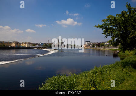 Lachs springen Wehr auf dem Fluss Shannon, Athlone, County Roscommon, Irland Stockfoto