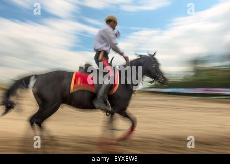 Der Reiter auf ein schwarzes Pferd in Bewegung - verschwommen Stockfoto