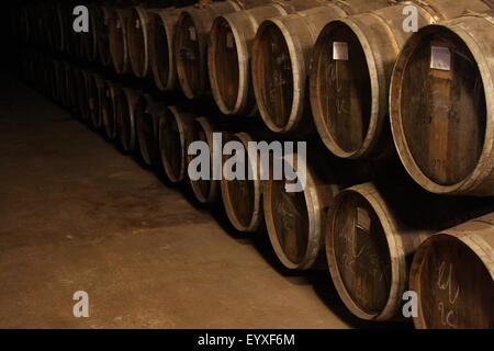 Eine Linie der alten Wein-Fässer in einem Weinberge Keller Stockfoto