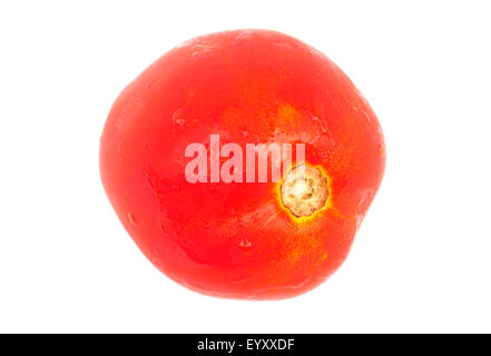 Eine frische rote Tomate isoliert auf weißem Hintergrund Stockfoto