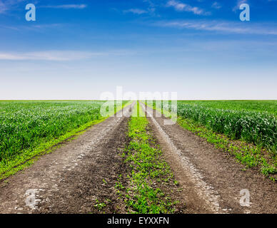 Landstraße durch die Felder Stockfoto