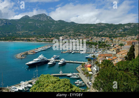 Blick von der Festung der Zitadelle, Altstadt und Hafen von Calvi, Haute-Corse, Korsika, Frankreich Stockfoto