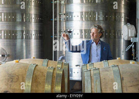 Winzer Prüfung Rotwein im Weingut Keller Stockfoto