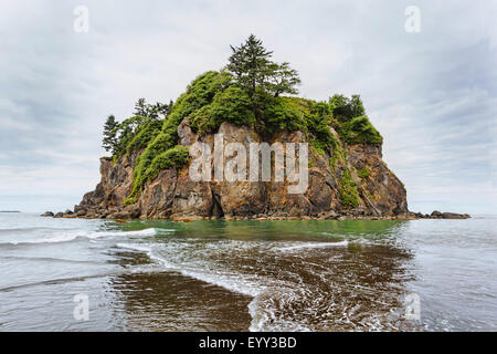 Meer-Stack auf Ruby Beach, Kalaloch, Washington, Vereinigte Staaten von Amerika Stockfoto