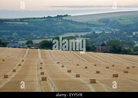 Ein frisch geernteten Feld in der South Downs National Park in der Nähe von Touristenort, East Sussex Stockfoto