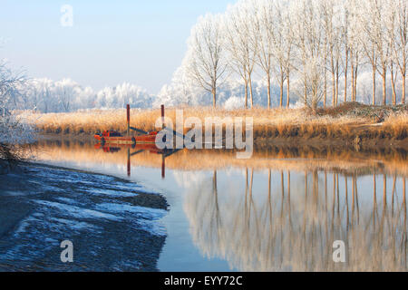 Reflexion von Schnee bedeckt, Bäumen und Schilf Fransen entlang Fluss Schelde, Belgien Stockfoto