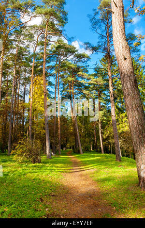 Herbst-Park. Toila, Estland, Europa Stockfoto