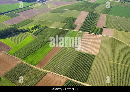 landwirtschaftliche Fläche mit Feldern, Wiesen und Wege aus der Luft, Belgien Stockfoto