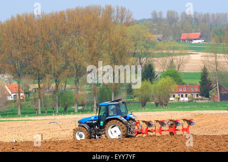 Traktor Pflügen Feld, Belgien, Flandern Stockfoto