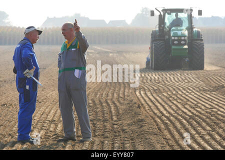 Landwirte, die Diskussion auf Feld, Niederlande Stockfoto