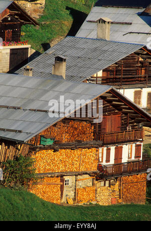 Chalet mit Holzvorrat, Frankreich, Savoyen, Beaufortain Stockfoto