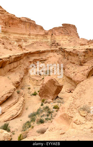 21. Februar 2015, inmitten der ersten beiden Star Wars Trilogien Tunis. / picture alliance Stockfoto