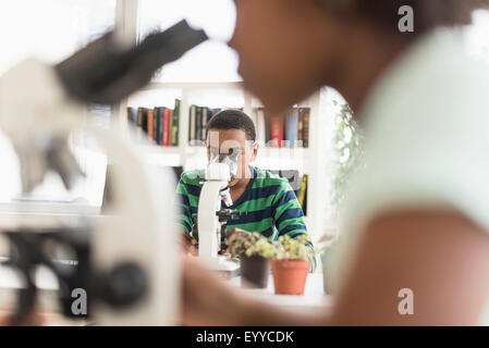 Schwarze Schüler Mikroskopie im Science-lab Stockfoto