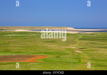 Salzwiesen in De Slufter Natur reservieren, Niederlande, Texel, De Slufter Stockfoto