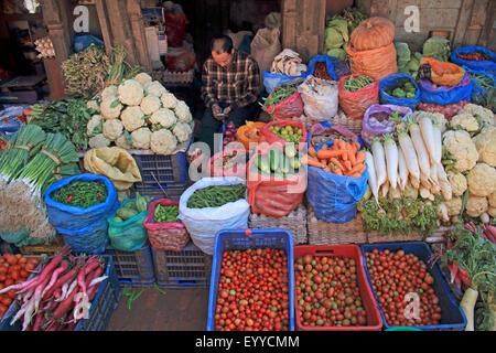 Gemüse-Verkäufer in der alten Stadt Bhaktapur, Nepal, Kathmandu Stockfoto