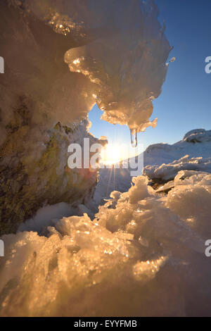 Sonnenaufgang in eisigen am frühen Morgen in Winter, Deutschland, Bayern, Nationalpark Bayerischer Wald Stockfoto