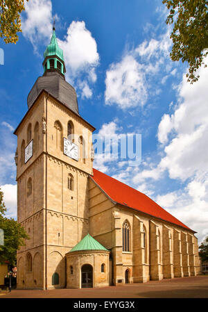 Pfarrkirche St. Martin, Germany, North Rhine-Westphalia, Nottuln Stockfoto