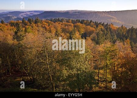 Blick vom Hermannsdenkmal Teutoburger Wald im Herbst, Deutschland, North Rhine-Westphalia, Detmold Stockfoto