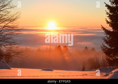 Sonnenuntergang über den Wolken im Winter, Deutschland, Bayern, Nationalpark Bayerischer Wald Stockfoto