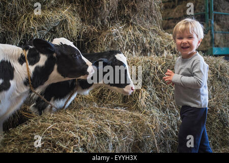 Kaukasische junge lachend auf Heuhaufen in der Nähe von Kühen Stockfoto