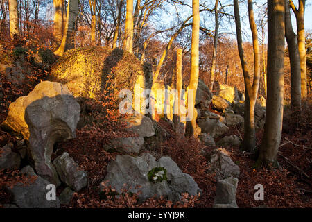 Meer von Klippen "Felsenmeer Hemer", Hemer, Sauerland, Nordrhein-Westfalen, Deutschland Stockfoto