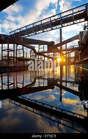 Kokerei Zollverein, Deutschland, Nordrhein-Westfalen, Ruhrgebiet, Essen Pflanzen Stockfoto