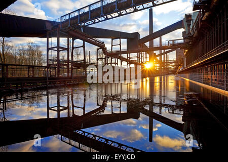 Kokerei Zollverein, Deutschland, Nordrhein-Westfalen, Ruhrgebiet, Essen Pflanzen Stockfoto