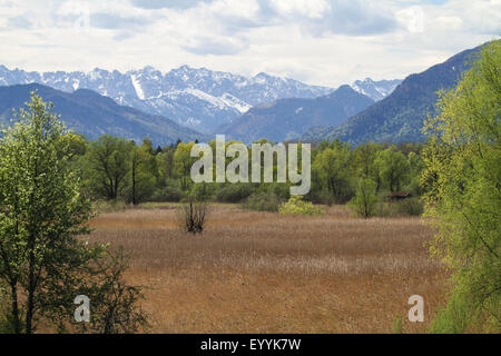 Grabenstaetter Moos, Versandung des Sees Chiemsee vor den Alpen, Deutschland, Bayern, See Chiemsee Stockfoto