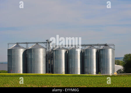 Getreidesilos in Morgen Licht, Deutschland, Bayern, Schwaben, Rain am Lech Stockfoto