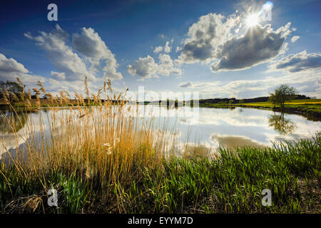 Wolken über dem See, Jocketa, Vogtland, Sachsen, Deutschland Stockfoto