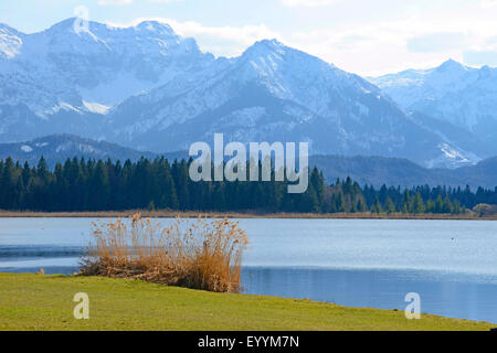 In der Nähe von Füssen, Hopfensee Blick auf den nördlichen Kalkstein Alpen an einem sonnigen Tag im März, Deutschland, Bayern, Ostallgaeu, Füssen Stockfoto