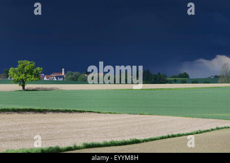 bedrohlich dunkle Gewitter über Feld Landschaft mit Dorf, Deutschland, Bayern Stockfoto