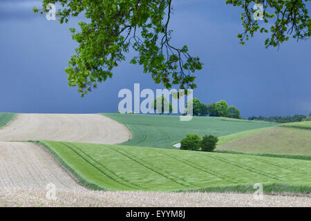 bedrohlich dunkle Gewitter über Feld Landschaft, Deutschland, Bayern Stockfoto