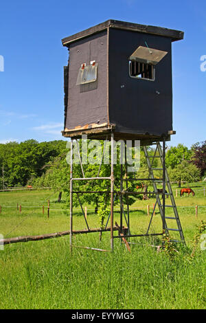 Ansitz auf der Weide, Deutschland, Nordrhein-Westfalen Stockfoto