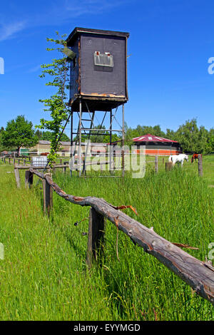 Ansitz auf der Weide, Deutschland, Nordrhein-Westfalen Stockfoto