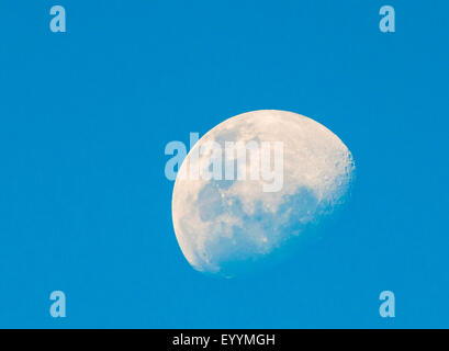 Mond am Himmel tagsüber, Australia, Western Australia, Newman Stockfoto