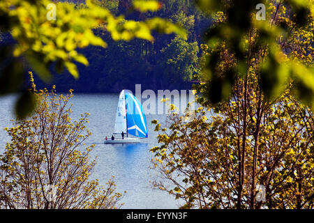 Segelboot auf Moehne Reservoir, Deutschland, Nordrhein-Westfalen, Sauerland, Moehnesee Stockfoto