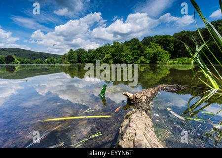 Poehl Stausee, Jocketa, Talsperre Poehl, Sachsen, Deutschland Stockfoto