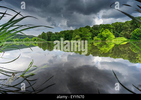 Regenwolken Spiegelung im Stausee Poehl, Jocketa, Talsperre Poehl, Sachsen, Deutschland Stockfoto