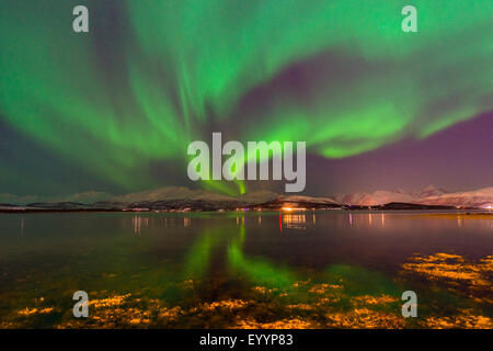 polare Licht spiegeln in einem Fjord, Norwegen, Troms, Tromsoe Stockfoto