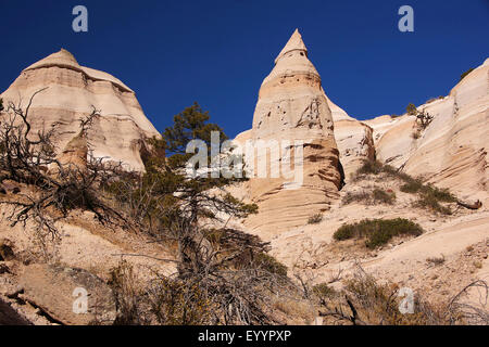 Sandsteinformation im Kasha-Katuwe Zelt Rocks National Monument, USA, New Mexico, Kasha-Katuwe Zelt Rocks National Monument Stockfoto