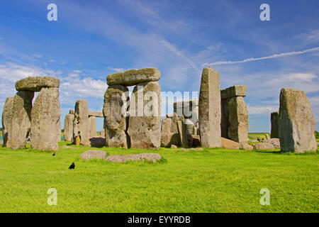 Stonehenge, Wiltshire, Vereinigtes Königreich, England, Stonehenge Stockfoto