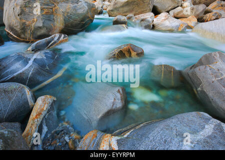 Fluss Verzasca im Verzasca Tal, Schweiz, Tessin Stockfoto