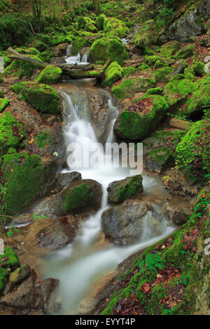 Wasserfall im Tal Twannbachschlucht, Schweiz Stockfoto