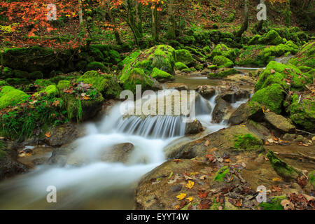 Wasserfall im Tal Twannbachschlucht, Schweiz Stockfoto