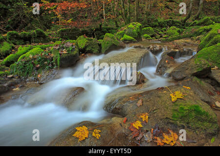 Wasserfall im Tal Twannbachschlucht, Schweiz Stockfoto