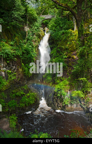 Aira Force Wasserfall in der Nähe von Ullswater im Sommer Lake District National Park Cumbria England Vereinigtes Königreich GB Großbritannien Stockfoto